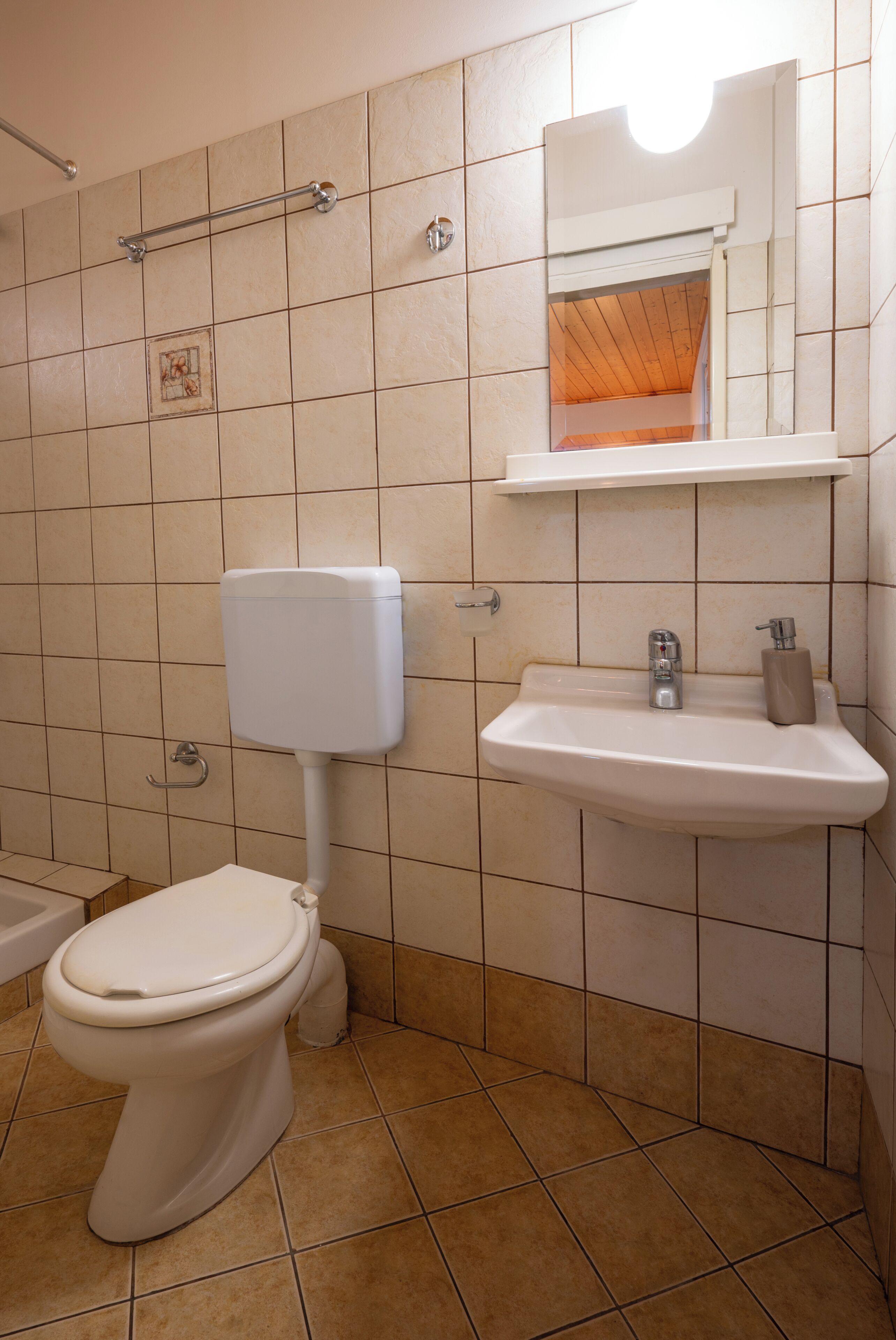 Hair dryer, towels, shampoo, toilet paper