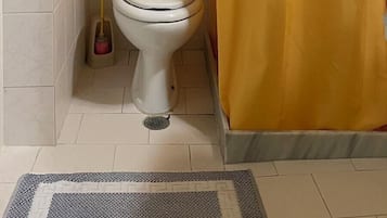 Shower, towels, shampoo, toilet paper