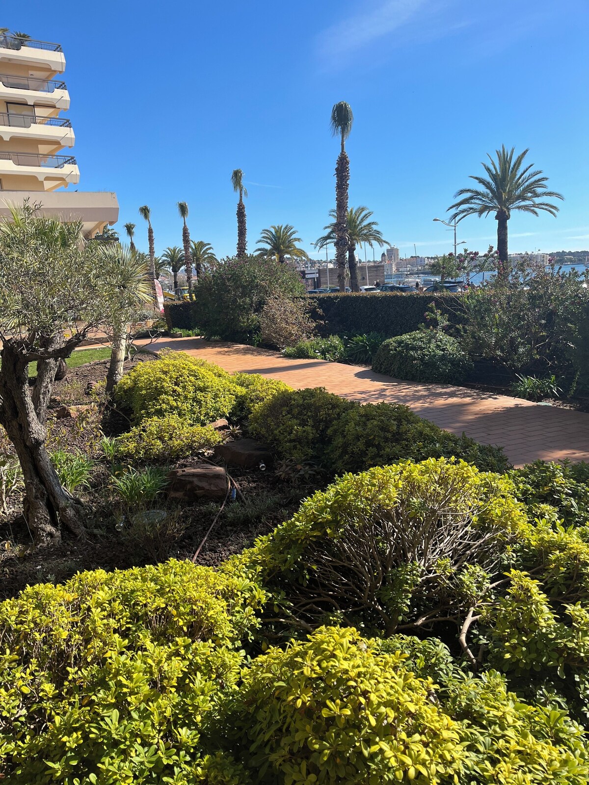 Imagen de perfil del propietario o de la propietaria