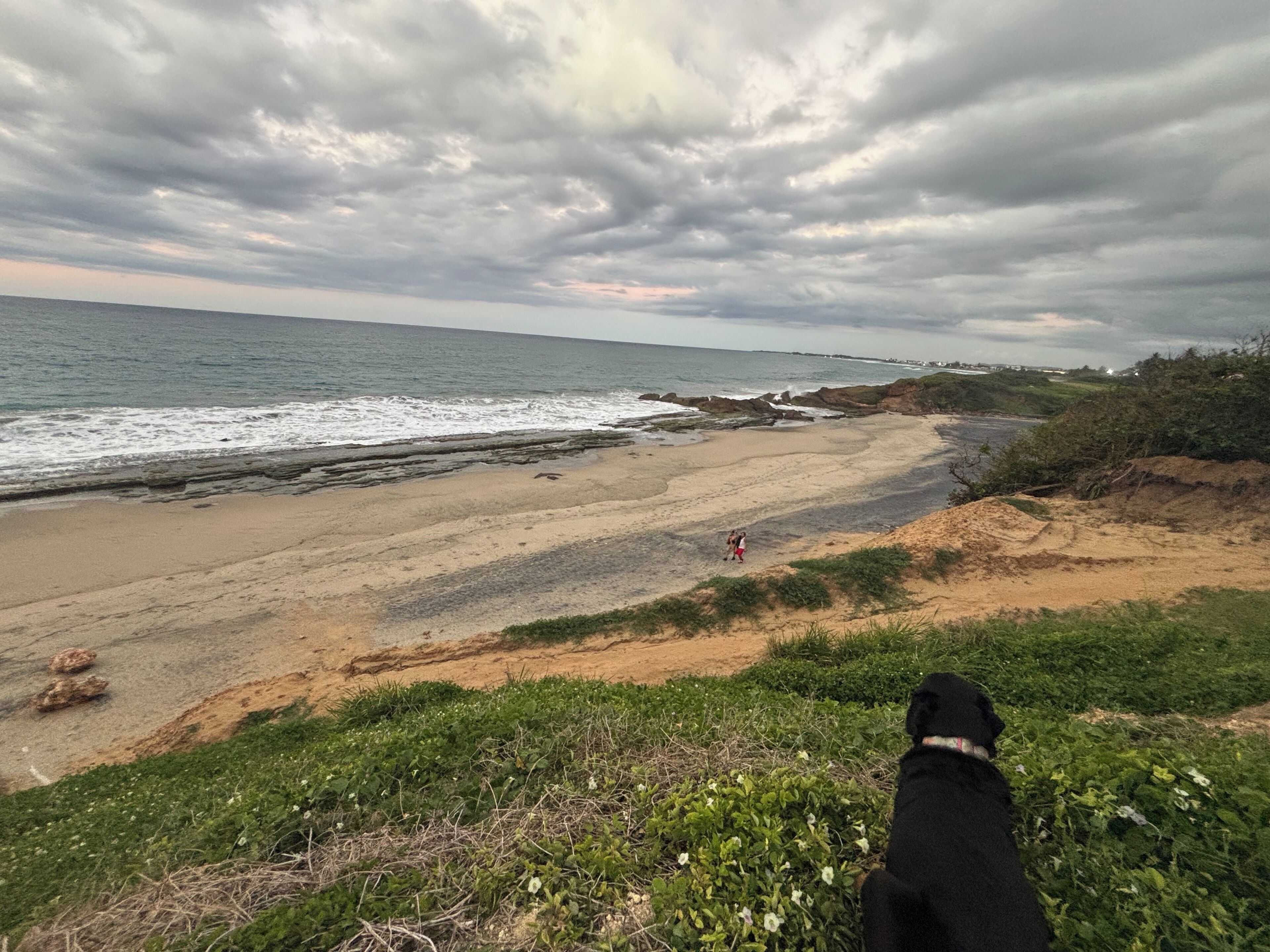 A beach with a dog on the shore, rocky outcrops, and a cloudy sky.