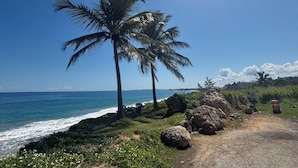 A coastal road with palm trees, a clear sky, and the ocean. - BednBong Experience Stay (Arecibo)