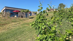 A modern building with a flat roof, large windows, and a red umbrella. - MoselHoch vacation cottage in the vineyards of Klüsserath (Klüsserath)