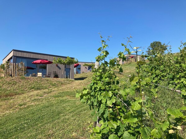 Overnatningsstedets område