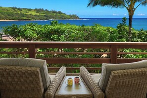 Property grounds - Moloaa Bay Villa & Cottage, beachfront on secluded white sand beach (Kilauea)