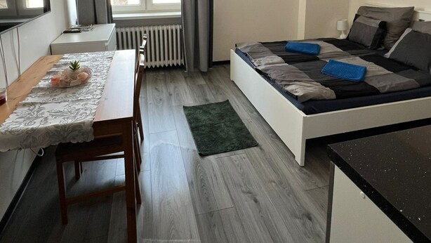 Un dormitorio compacto con cama, una mesita con una planta, una ventana con cortinas y un radiador.