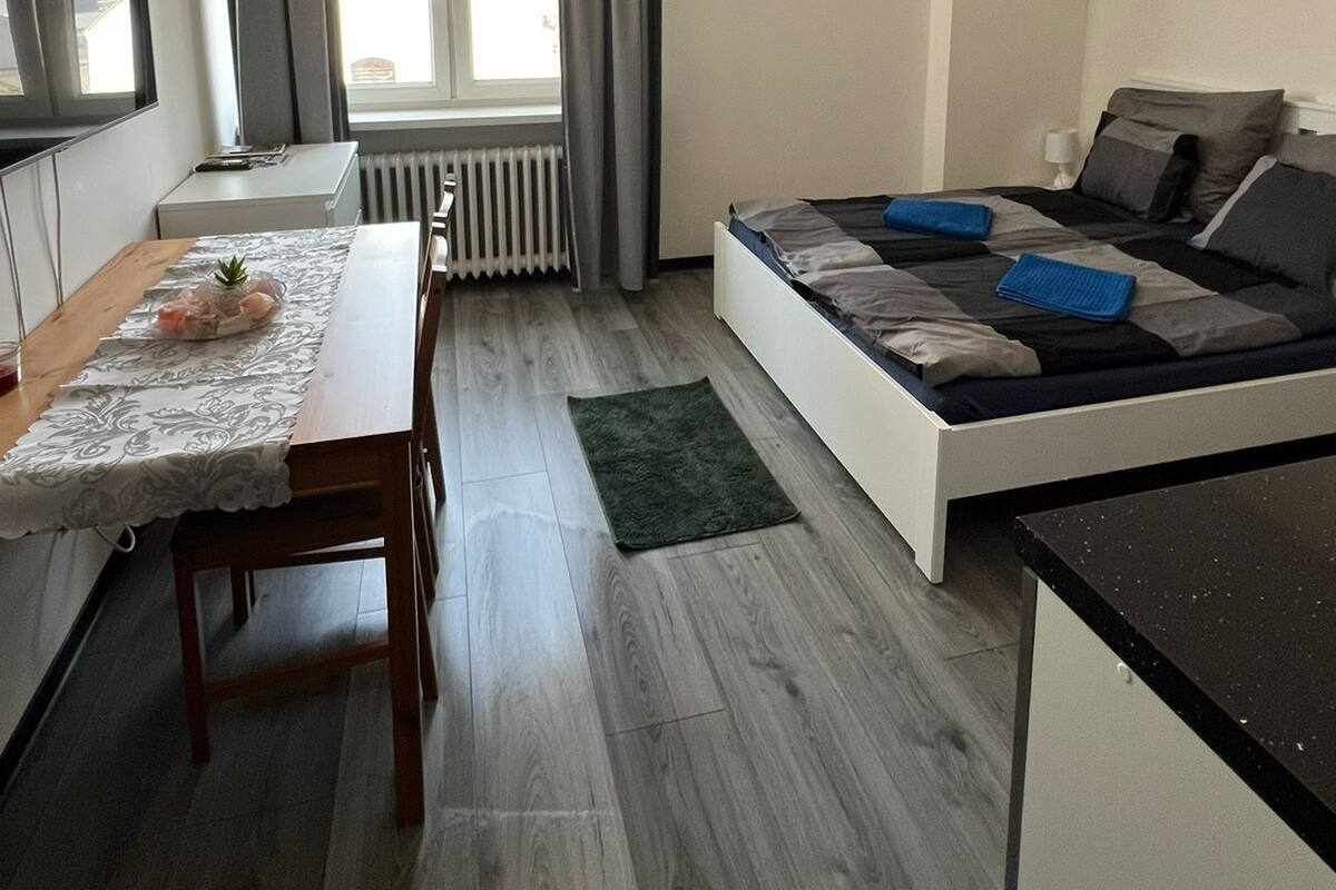 A compact bedroom with a bed, a small table with a plant, a window with curtains, and a radiator.