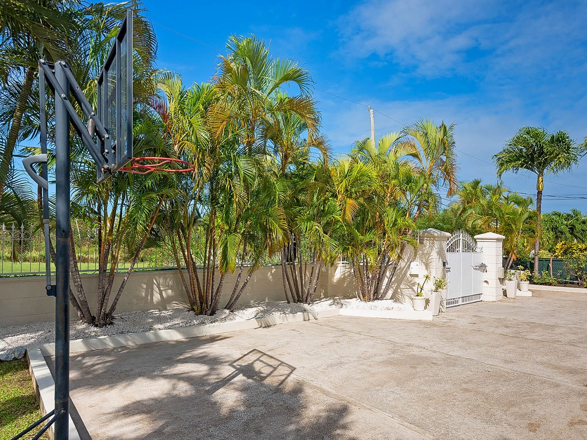 A basketball court with a metal hoop, surrounded by palm trees and a concrete wall.