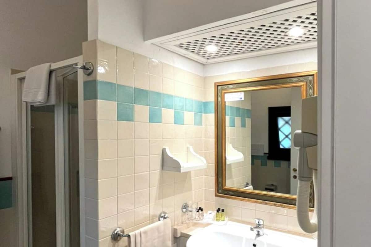 Serviettes fournies, savon, shampoing, papier toilette
