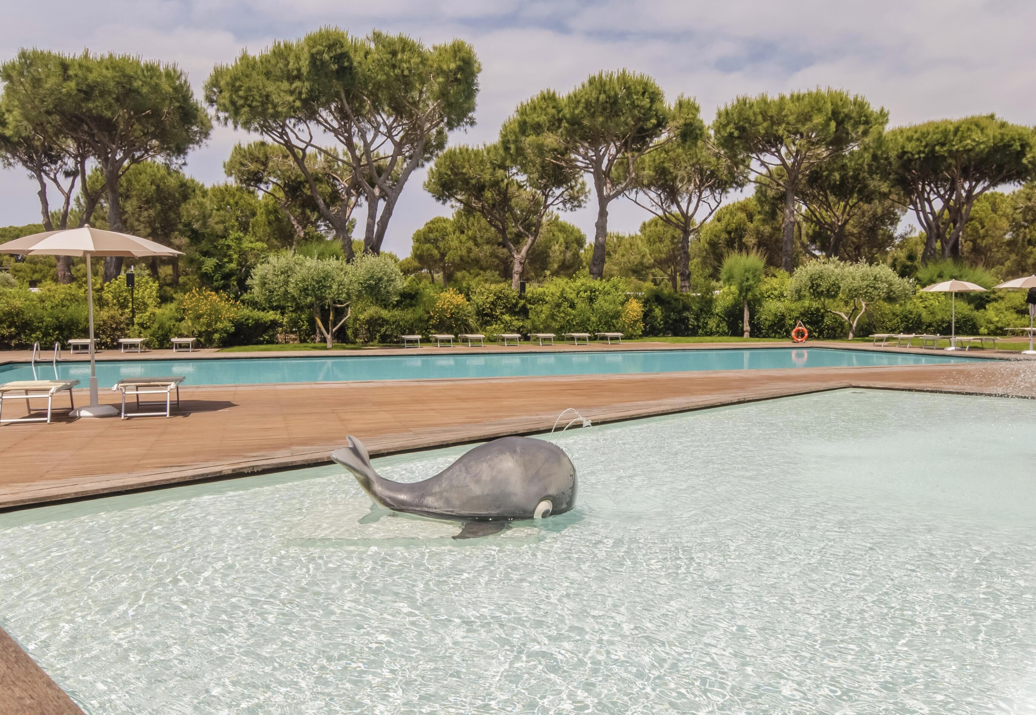Seasonal outdoor pool, open 10:00 AM to 6:00 PM, pool umbrellas