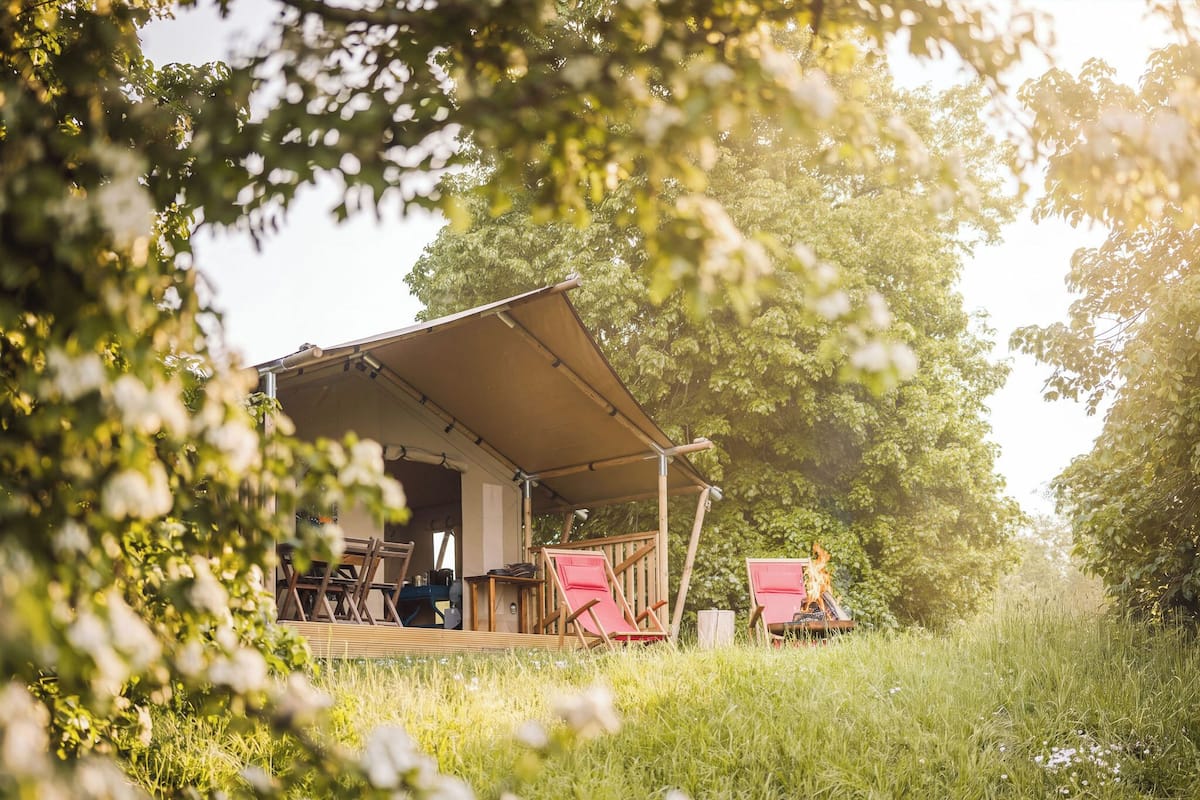 A covered outdoor area with a table and chairs, surrounded by trees.