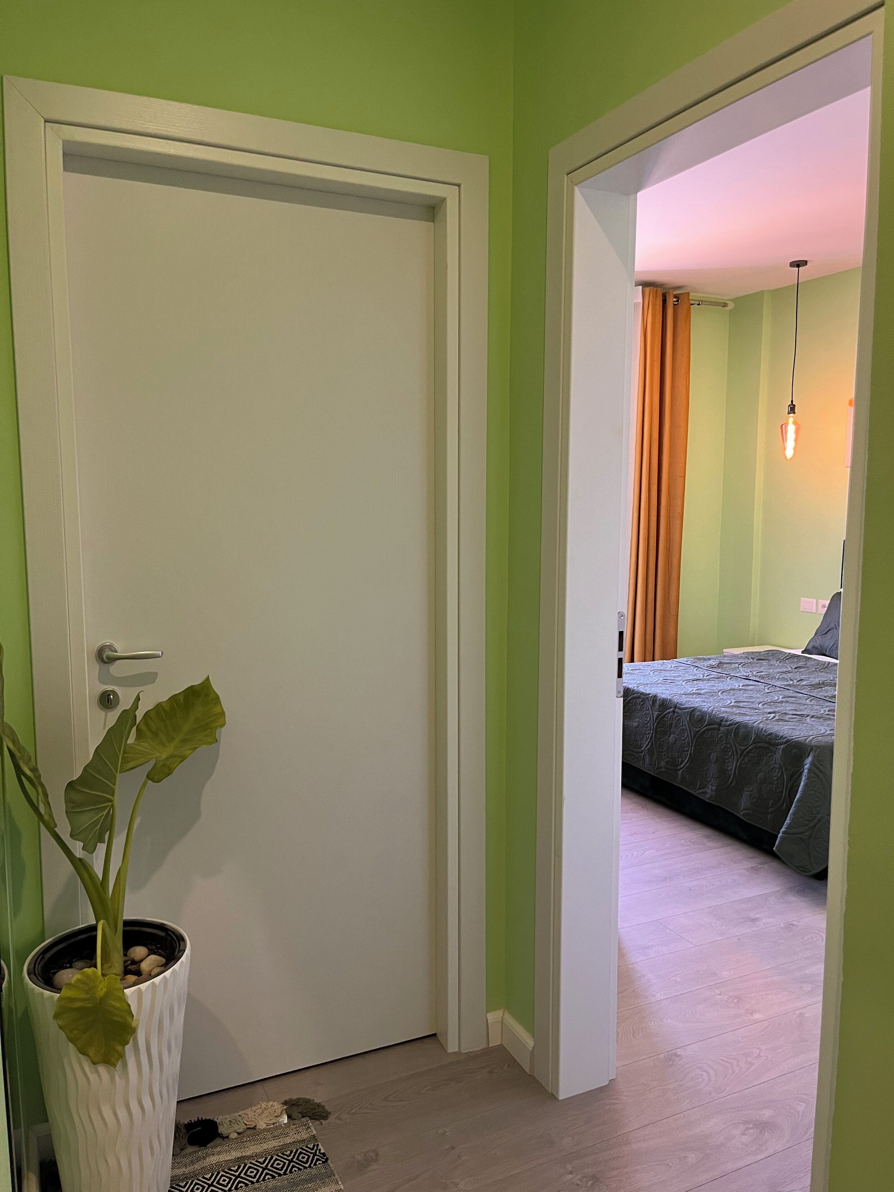 Une pièce avec un lit, une plante en pot et une porte qui donne sur une autre pièce.