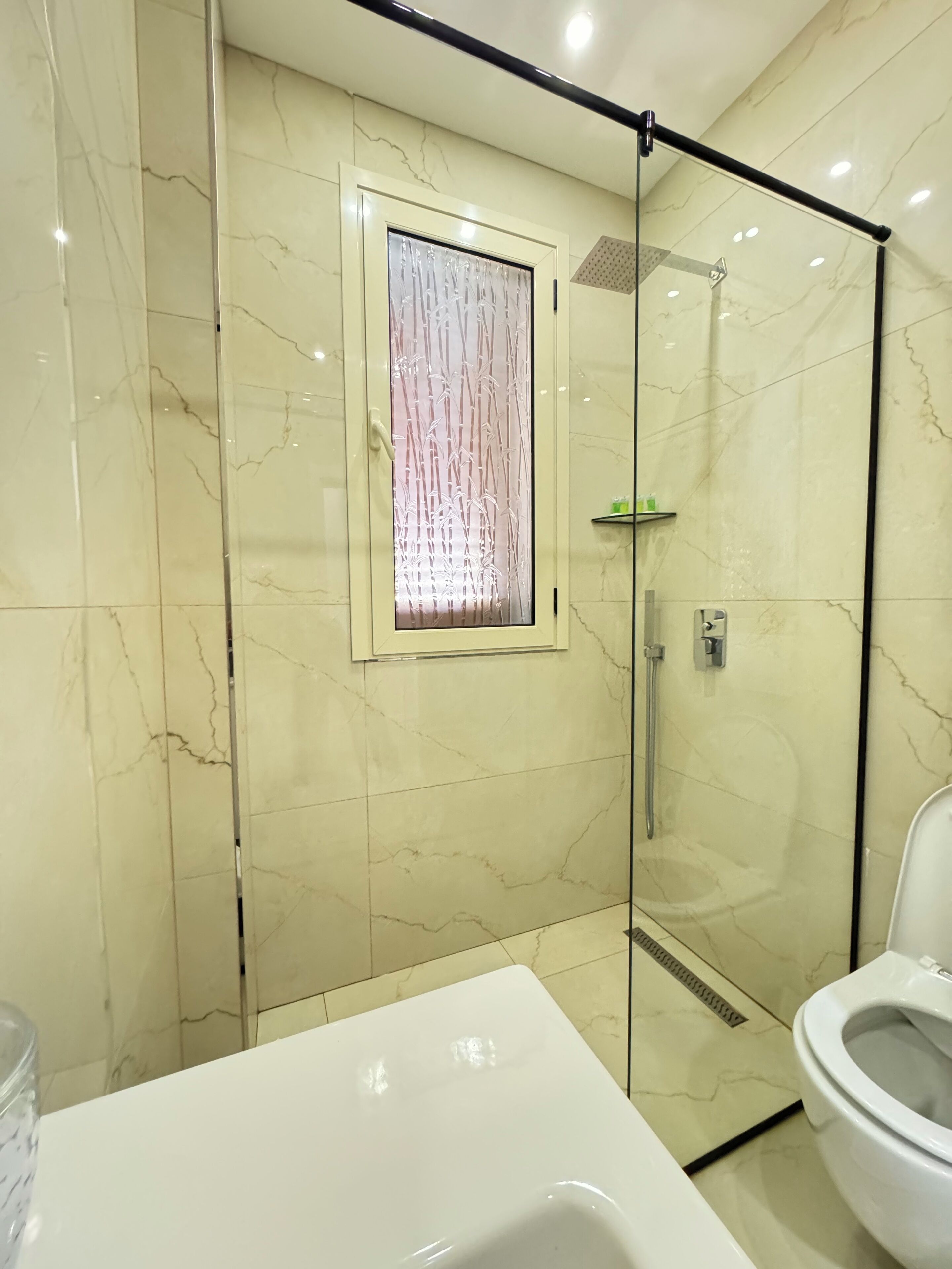 A modern bathroom with a glass shower enclosure, a toilet, and a sink.