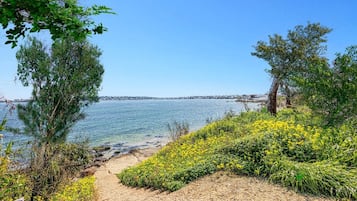 Playa en los alrededores