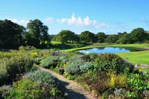 Un jardin avec un étang, un sentier et différentes espèces de plantes.