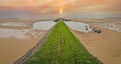 Studio in Belgium With Sea View & Balcony