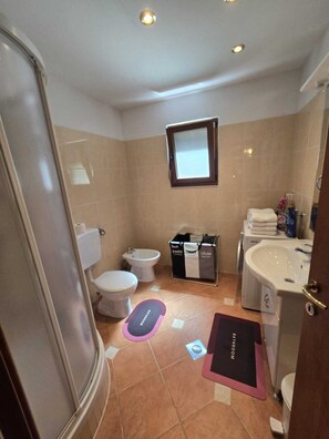 A bathroom with a toilet, bidet, sink, and a mirror. There are storage boxes and a mat on the floor. - apartments and rooms arch  (Mostar)