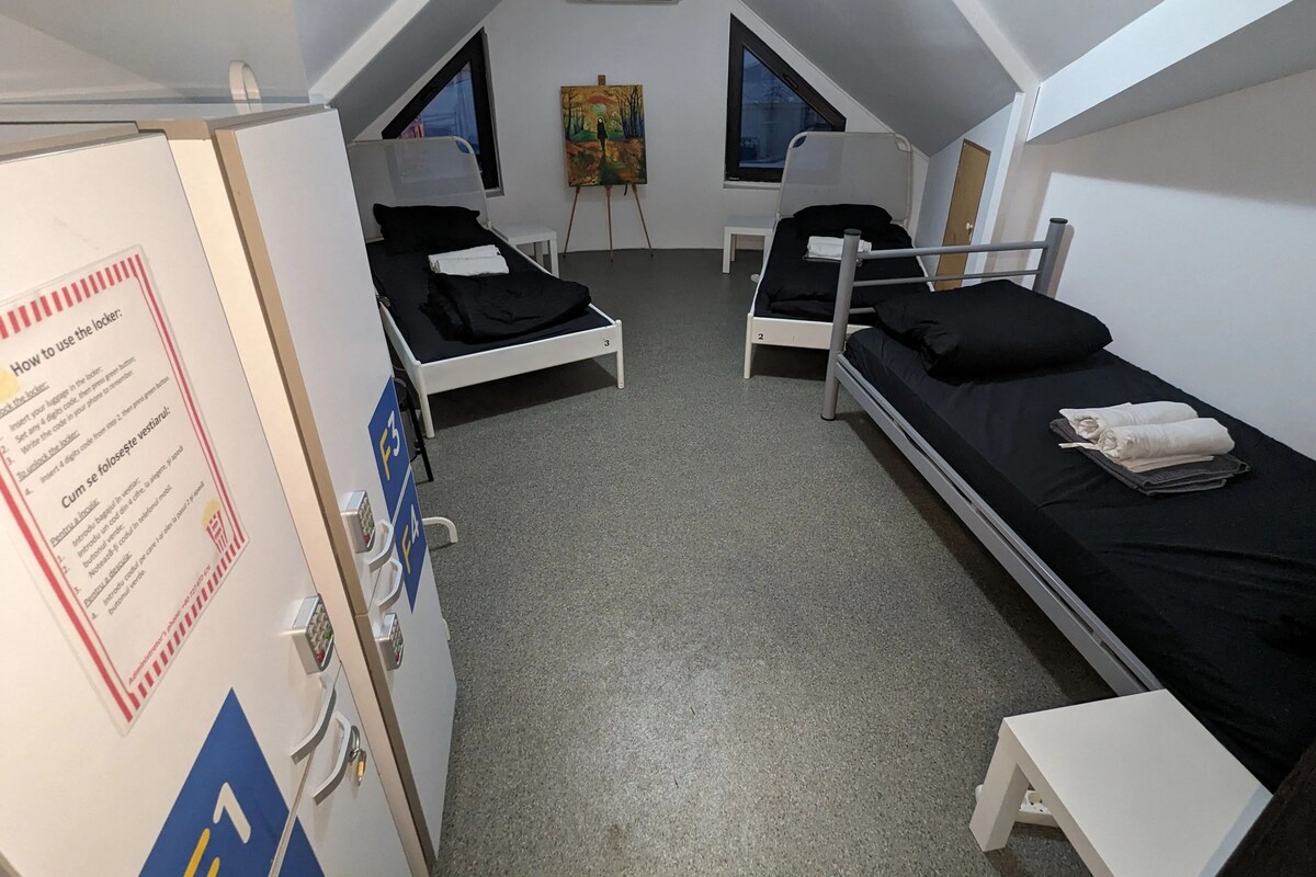 基本共用宿舍, 男女混合宿舍, 非吸煙房 | 遮光布/窗簾、熨斗/熨衣板、免費無線上網