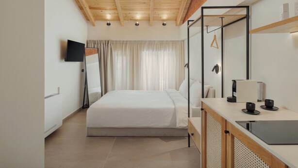 Un dormitorio moderno con techo de madera, una cama, un televisor, un escritorio con una computadora portátil y un espejo.