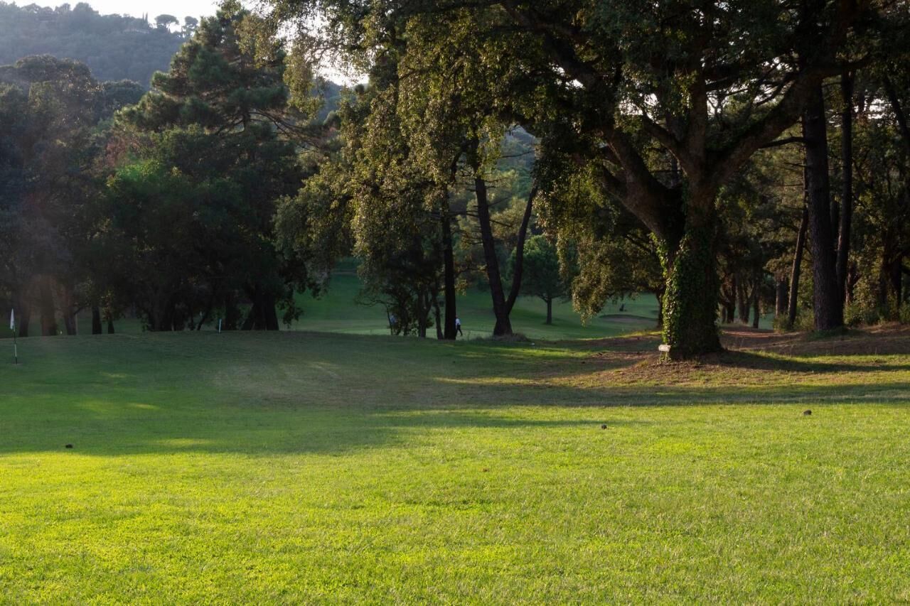 A grassy field with trees and a hill in the background.