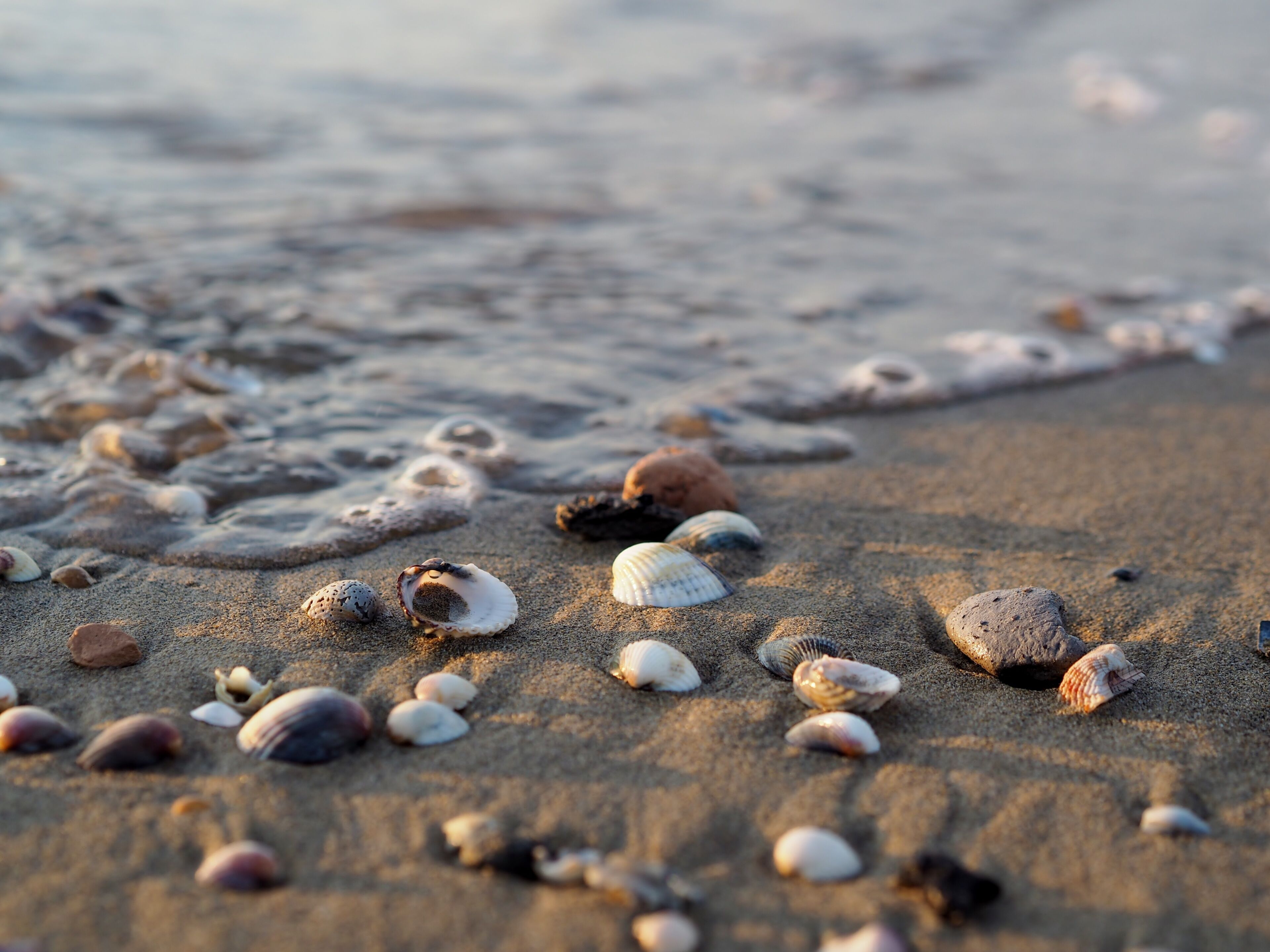 Estudio, balcón | Playa