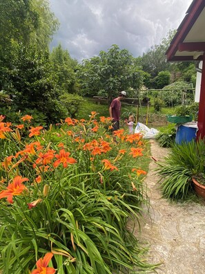 Property grounds - Country house with swimming pool and horses (Hasparren)