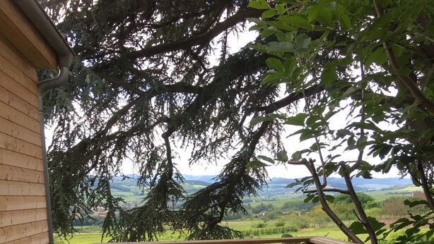 Une terrasse en bois avec une table et des chaises, d’où l’on peut admirer un paysage verdoyant, avec des arbres et des collines à l’horizon.