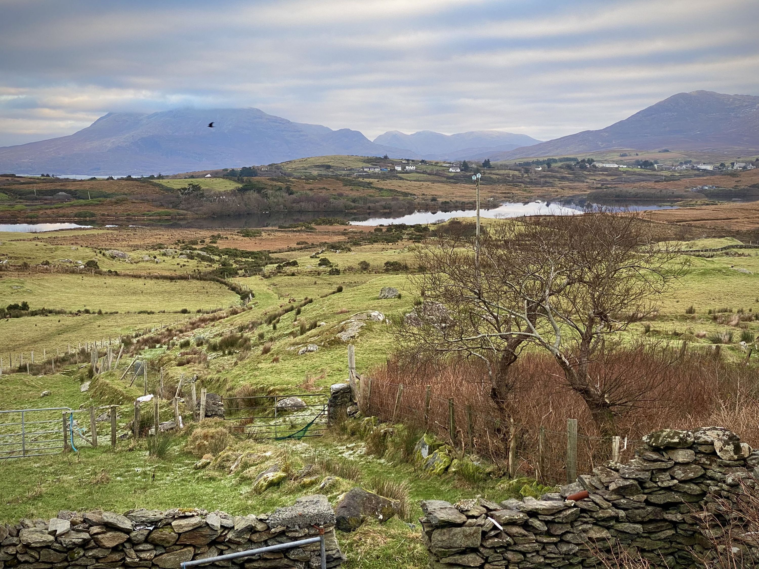 A rural landscape with stone walls, a tree, and a distant view of mountains.