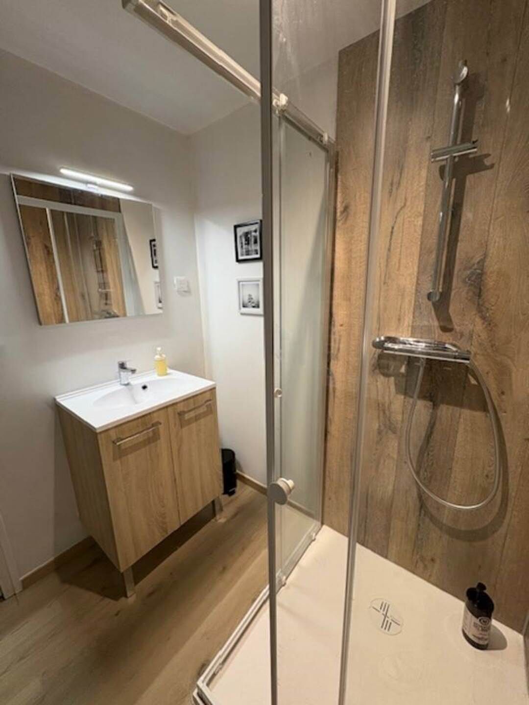 Shower, hair dryer, soap, toilet paper