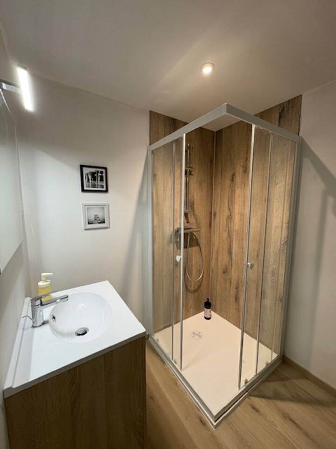 Dusj, hårføner, såpe og toalettpapir