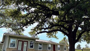 A single-story house with a stone foundation, a red door, and a large tree in front. - 3-Br Nature Oasis in rolling hills of Burton, 15 minutes from Round Top (Burton)