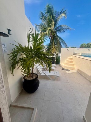 A rooftop terrace with a palm tree, lounge chairs, and a pool.