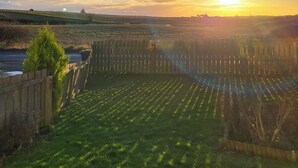 Un campo con una valla de madera y un árbol.
