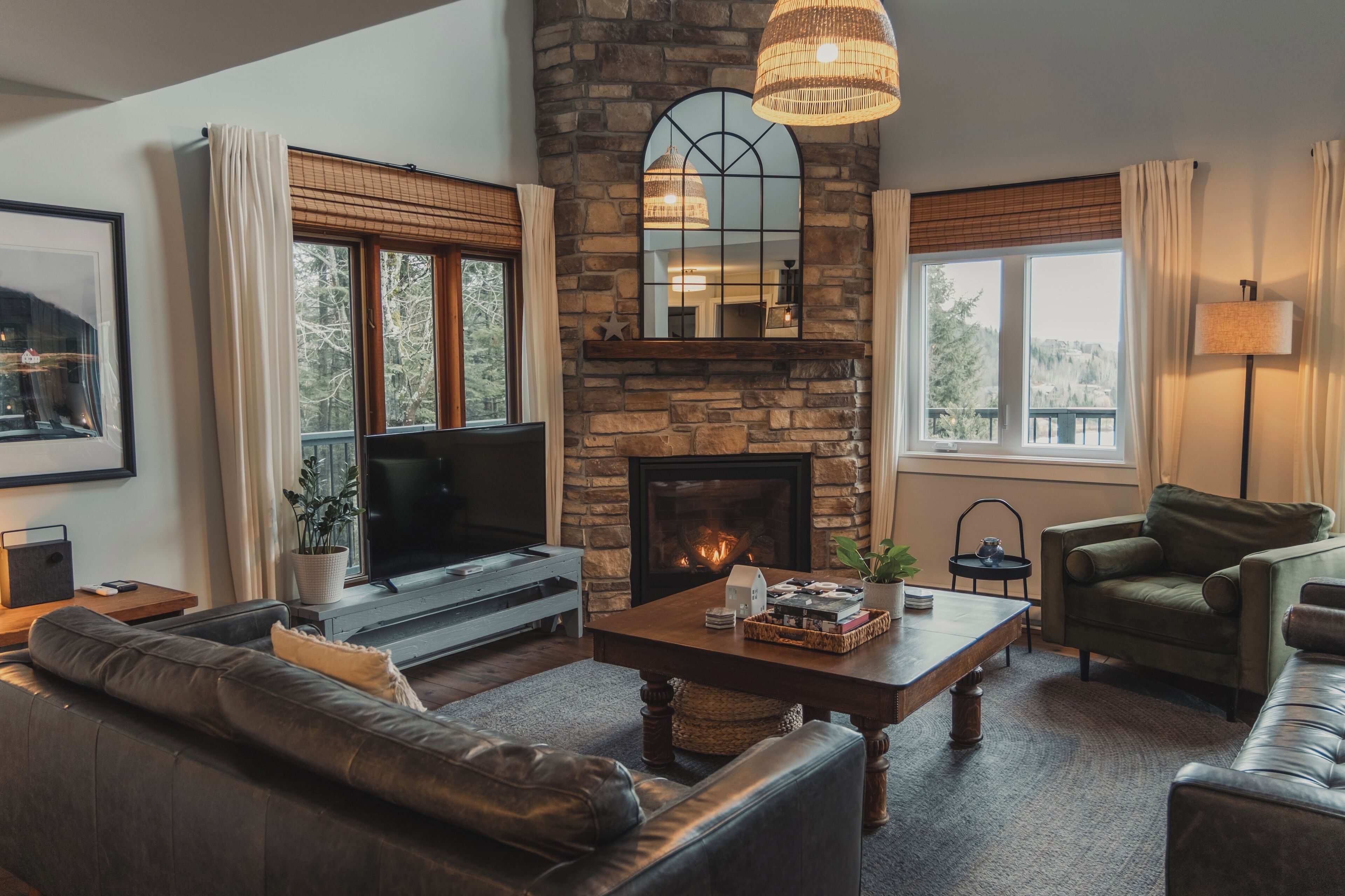 TV connectée, cheminée, livres, médiathèque