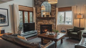 Smart TV, fireplace, books, music library