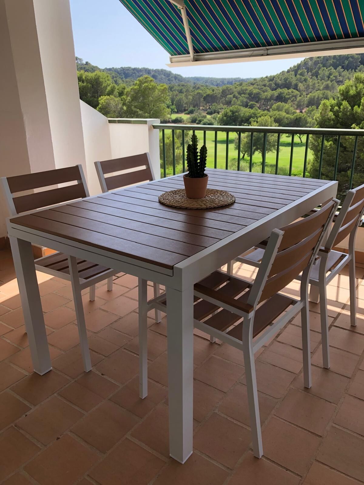 Une terrasse avec une table et des chaises, un pot de fleurs et une vue sur un paysage verdoyant.