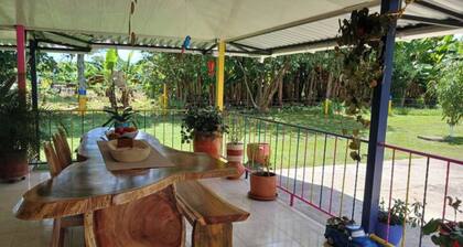 JOMA Farm " Our Dream ".