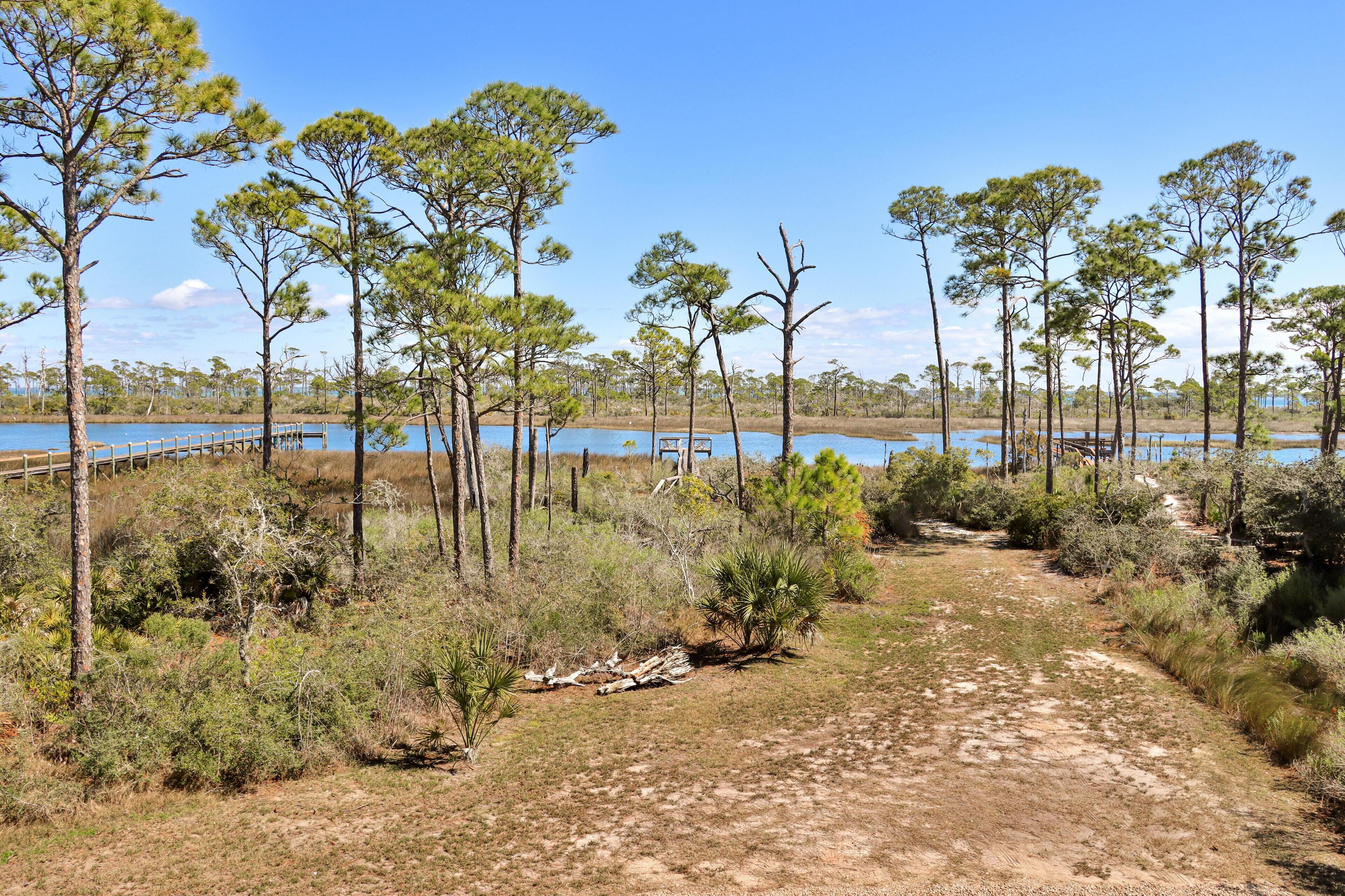 A natural landscape with a dirt path leading to a wooden dock over water.