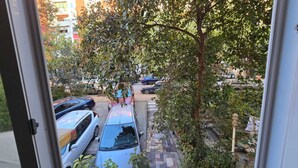 Une vue depuis une fenêtre donnant sur un parking où se trouvent plusieurs voitures, des arbres et un bâtiment en arrière-plan.