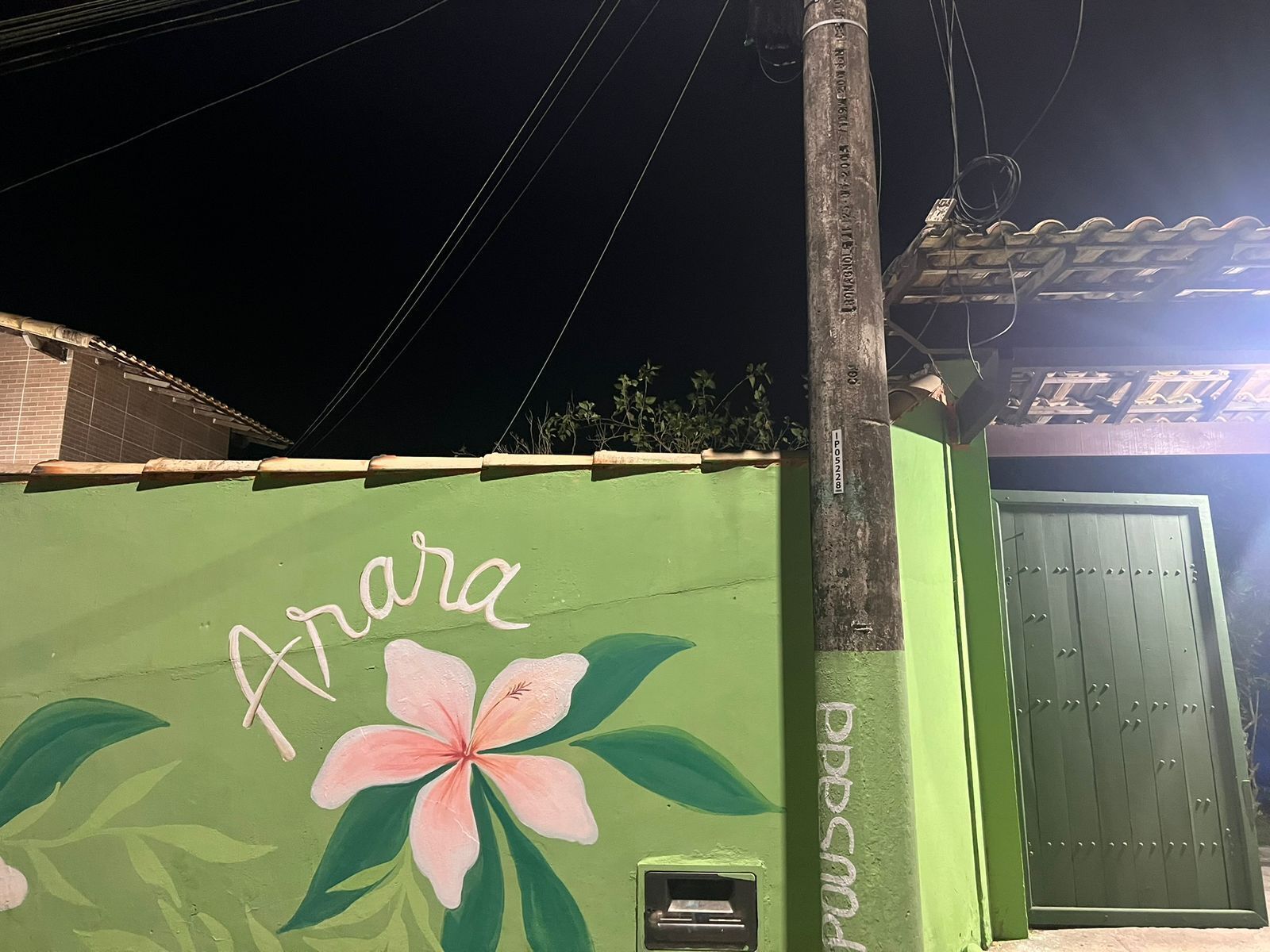 A green building with a painted flower and the name "Arara" on the side.
