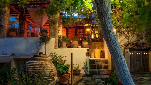 A stone pathway leading to a wooden door, surrounded by potted plants and a tree. - Thedreamhouse Chlorinefree Heated Pool Artvillage (Rhodes)