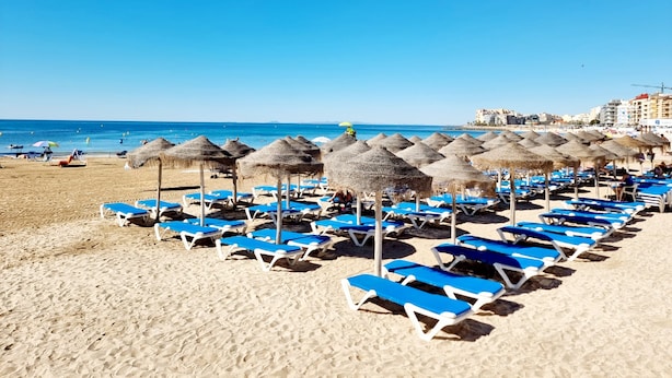 Una playa con hileras de sillas azules y sombrillas de paja.