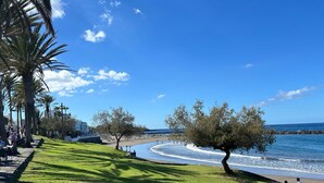 Un parc côtier avec un sentier bordé de pelouse, des arbres et une plage.