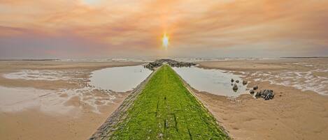 Apartment | View from property