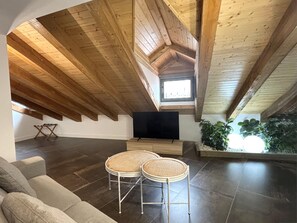 Fernseher