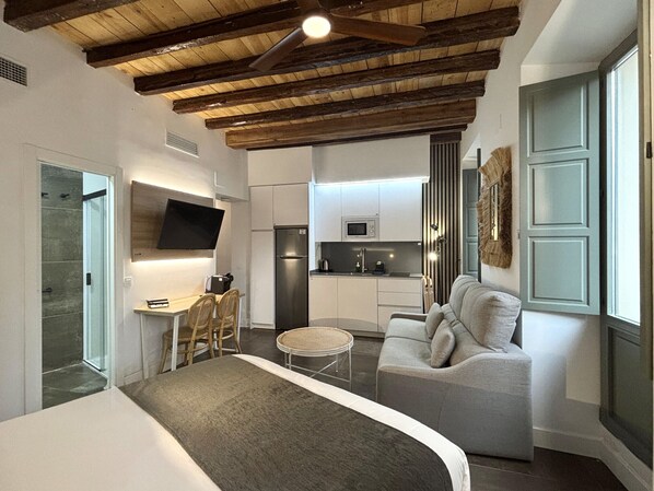 Värdeförvaringsskåp på rummet, strykjärn/strykbräda och gratis wi-fi