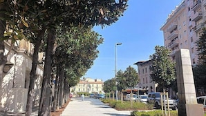 A tree-lined urban street with buildings on either side. - A Pisa con Amore (Pisa)