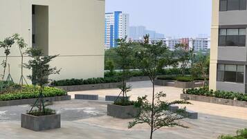 A courtyard with potted trees and a paved walkway, surrounded by modern buildings.