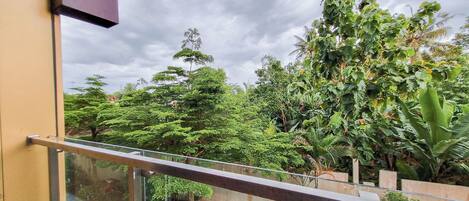 Standard Apartment | Balcony