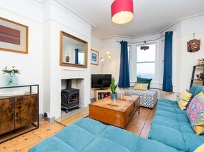 TV, fireplace, books