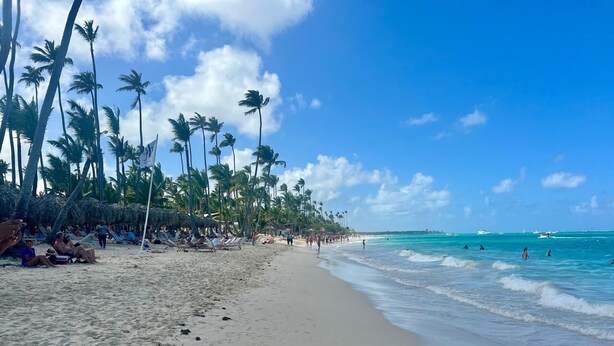 Ein Strand mit Palmen, Sand und dem Meer.